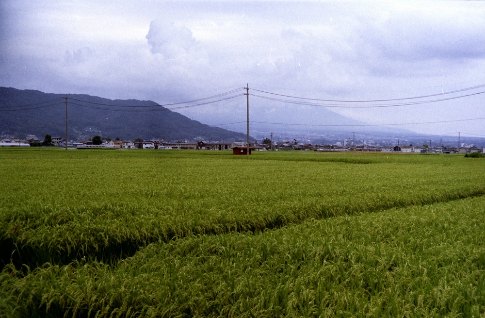 d0089742_15482337.jpg