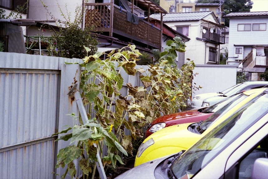 d0089742_15564242.jpg
