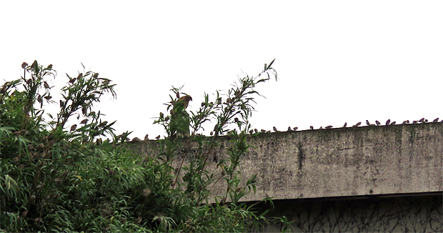 f0214649_3241687.jpg