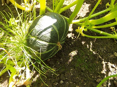 e0004756_21403967.jpg