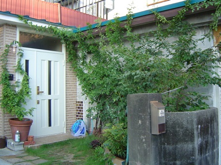 c0172261_1142082.jpg