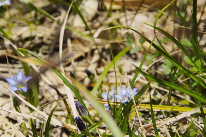 e0307372_21024278.jpg