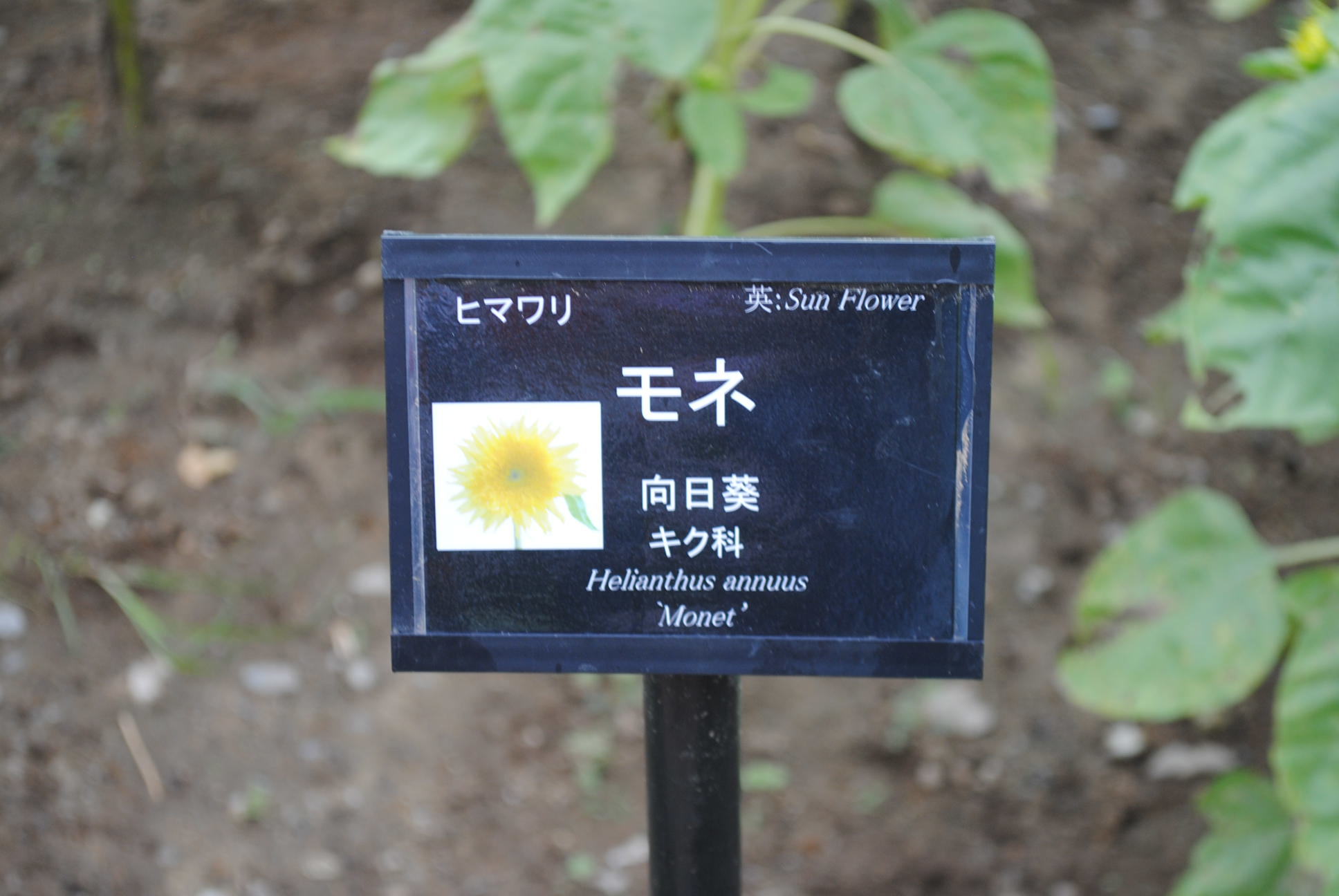 b0242873_01491120.jpg