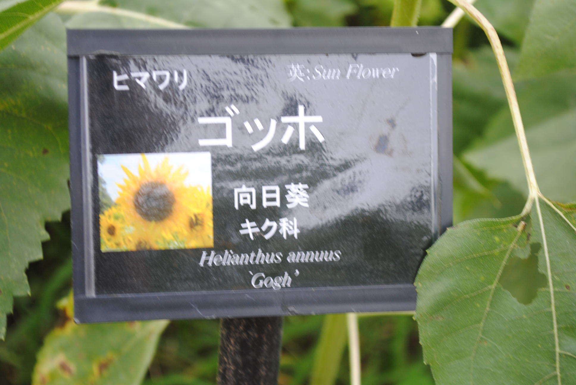 b0242873_01500013.jpg