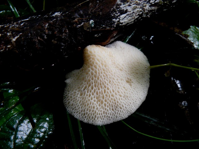 d0019074_1461789.jpg