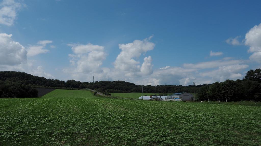 c0183777_6381691.jpg