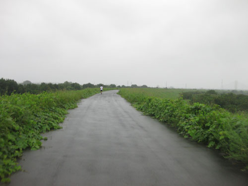 b0144082_8392162.jpg