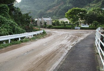 f0003283_04544721.jpg
