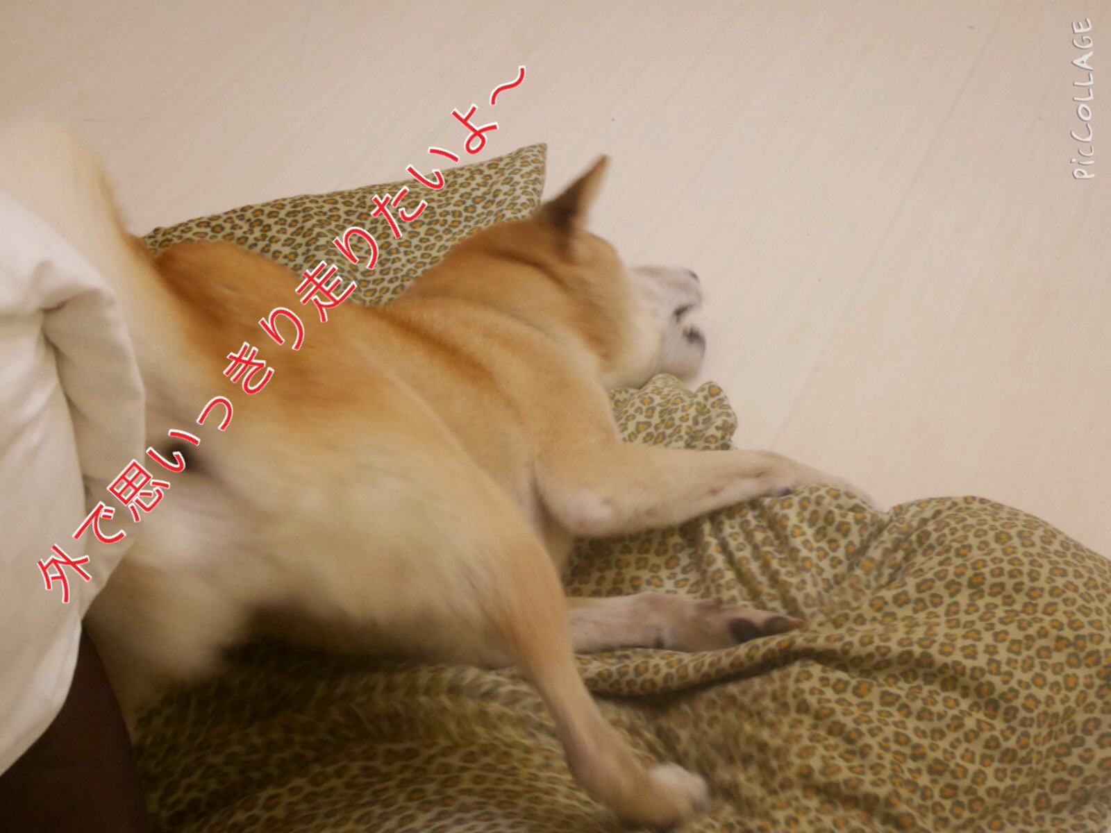 c0123890_15212729.jpg