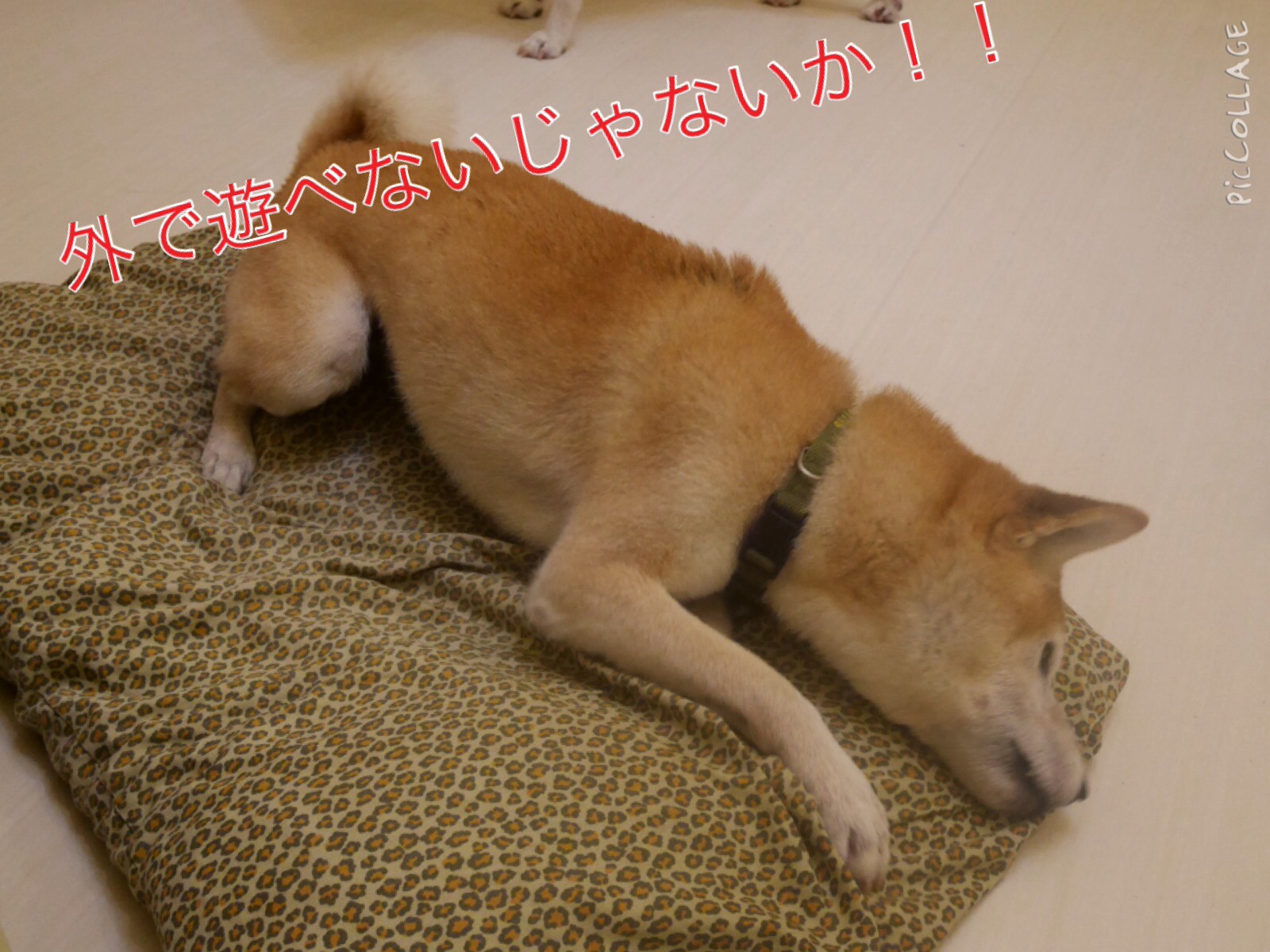 c0123890_15214142.jpg