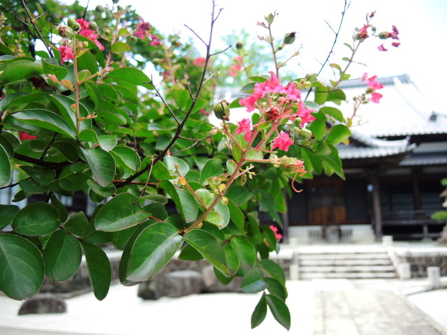 f0100593_17205130.jpg