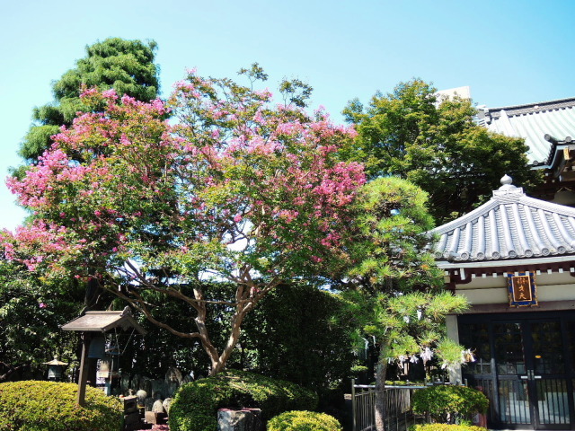 f0100593_17252935.jpg