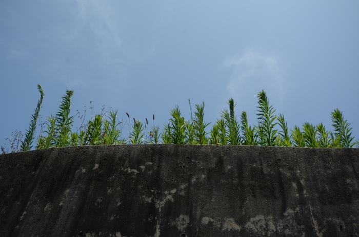 a0277496_09493905.jpg