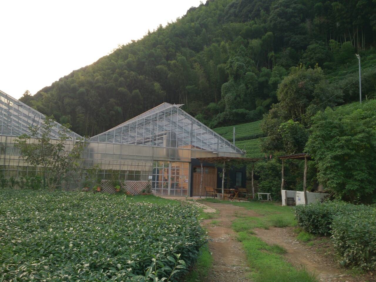 b0028299_2038443.jpg