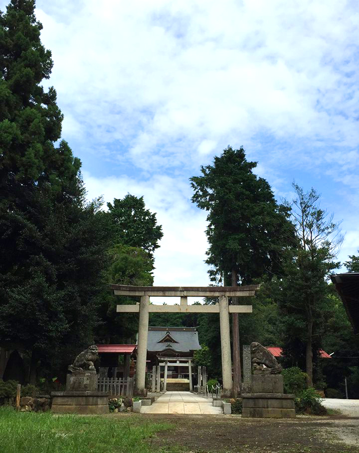 f0143412_206995.jpg