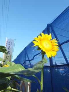 b0309813_17203628.jpg