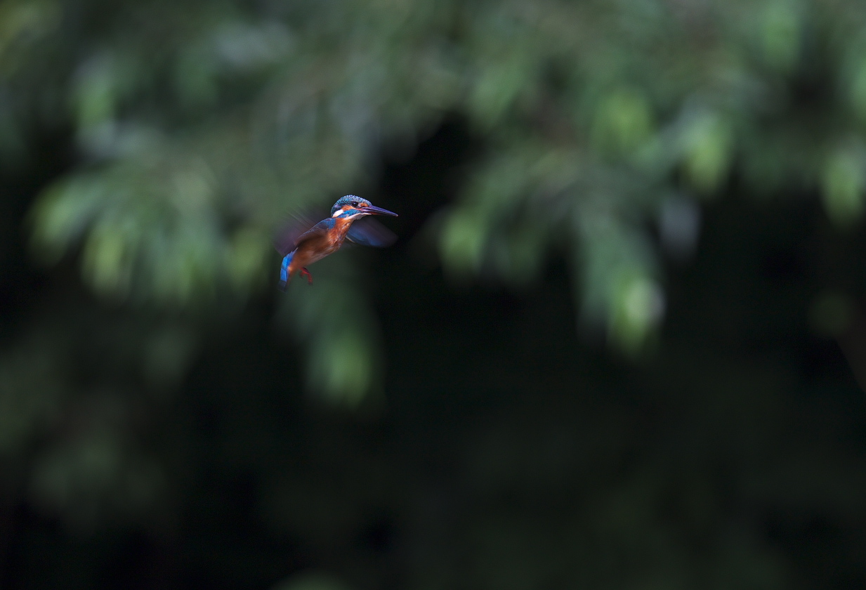 f0288418_2365975.jpg
