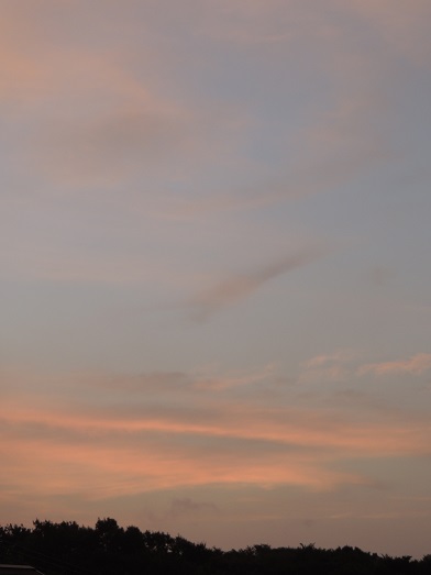 f0150620_6423075.jpg