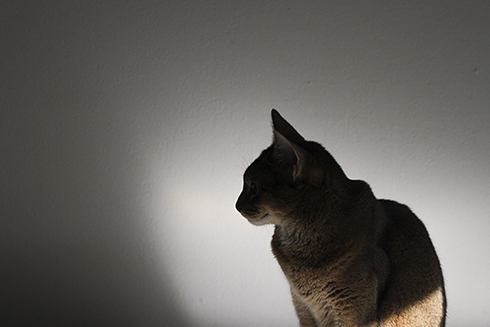e0090124_09885.jpg