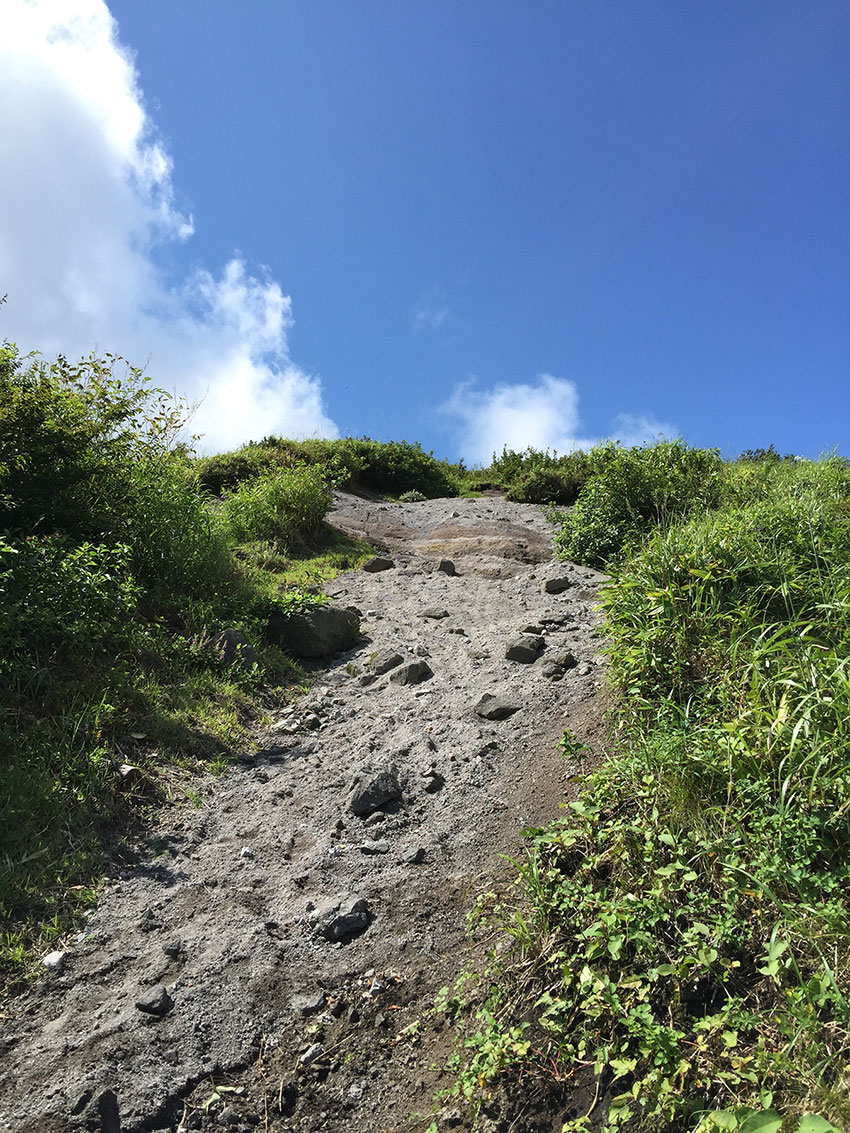 c0064025_17355136.jpg