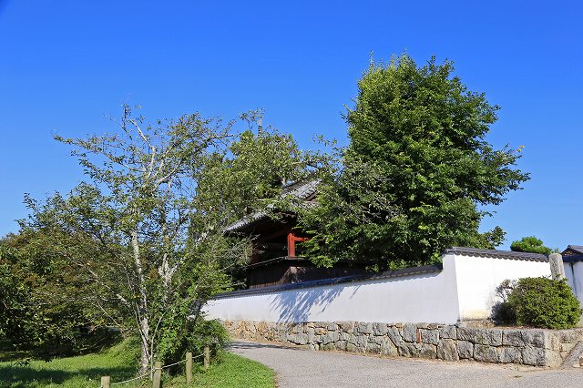 a0242438_19202737.jpg