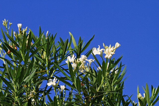 a0242438_19203286.jpg