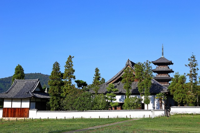 a0242438_1920626.jpg