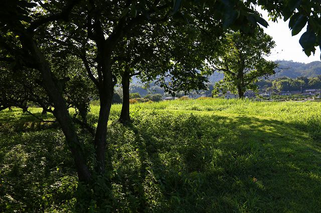 a0242438_19213921.jpg