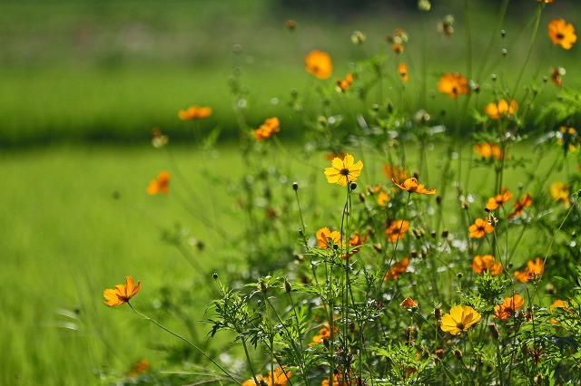 a0242438_1923118.jpg