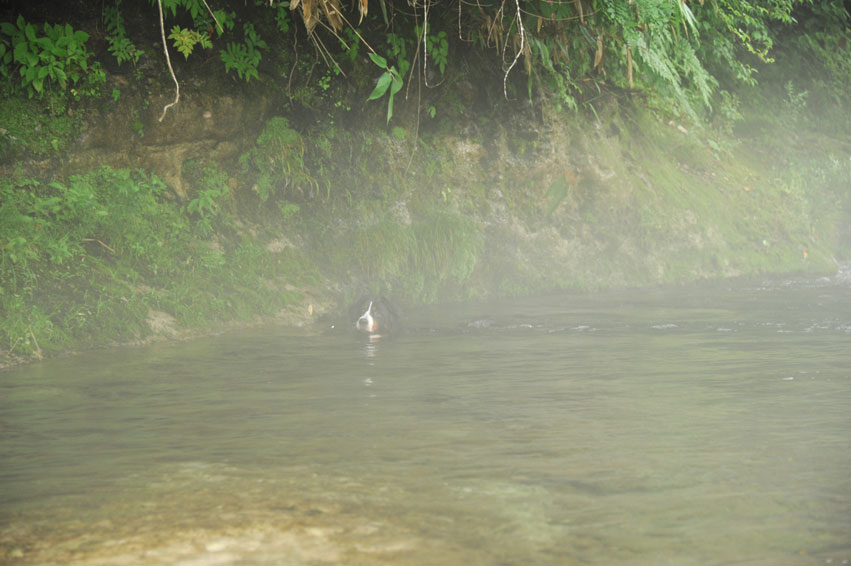 b0075541_22492254.jpg