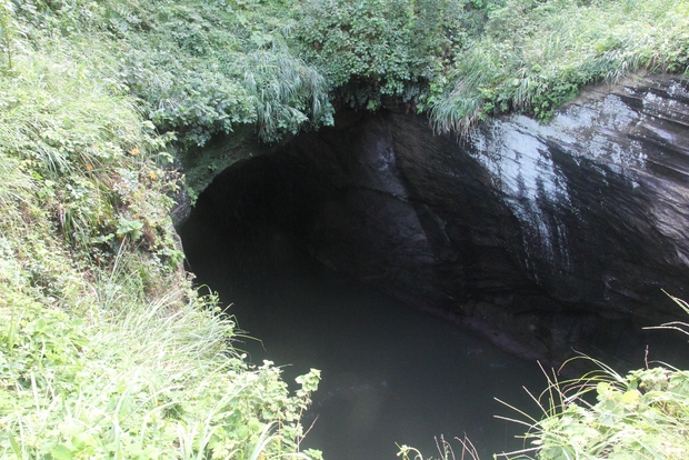 d0132743_15432714.jpg