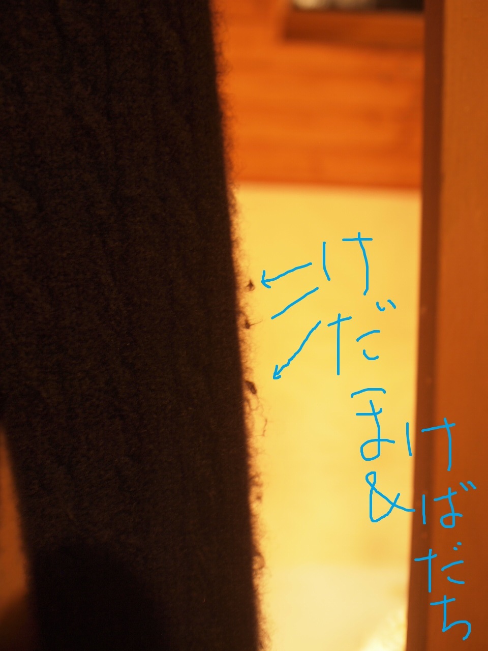 a0299945_06444176.jpg