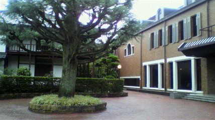 d0175151_1563978.jpg