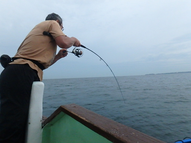 a0248152_1722358.jpg