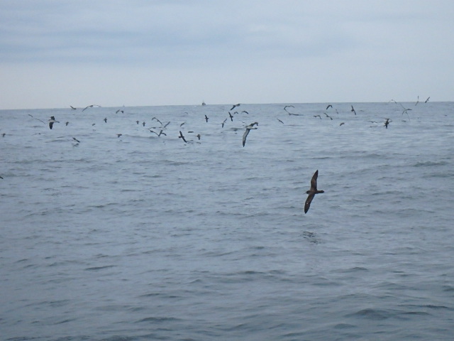 a0248152_1737073.jpg
