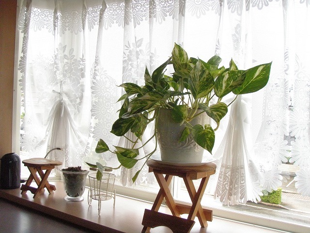 c0327752_15085677.jpg