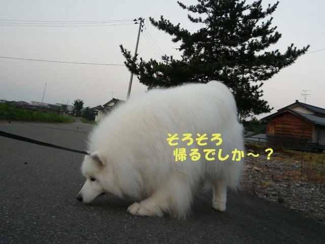 e0176159_15522199.jpg