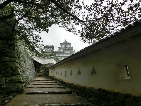 a0331562_22445499.jpg