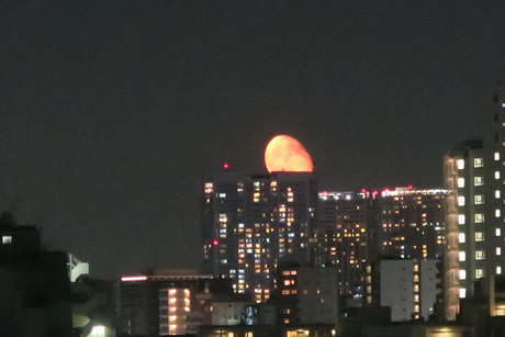 e0292172_15322845.jpg