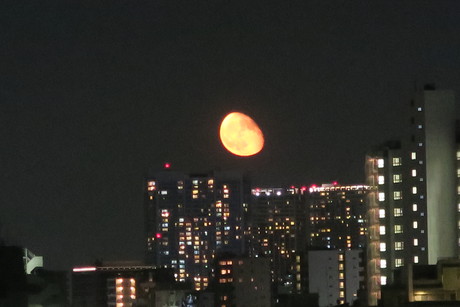 e0292172_15343415.jpg