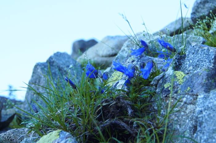 e0307372_11015165.jpg
