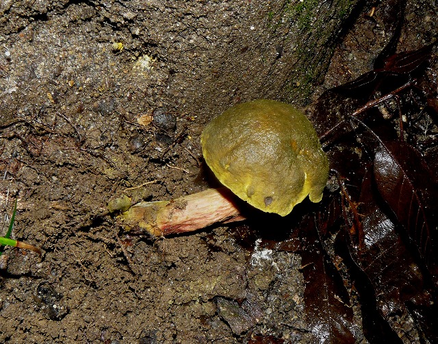 d0019074_813558.jpg