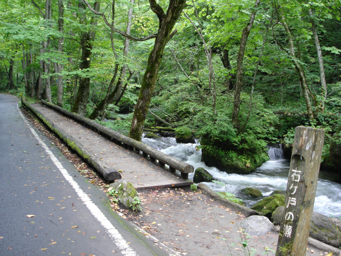 d0165378_12281981.jpg
