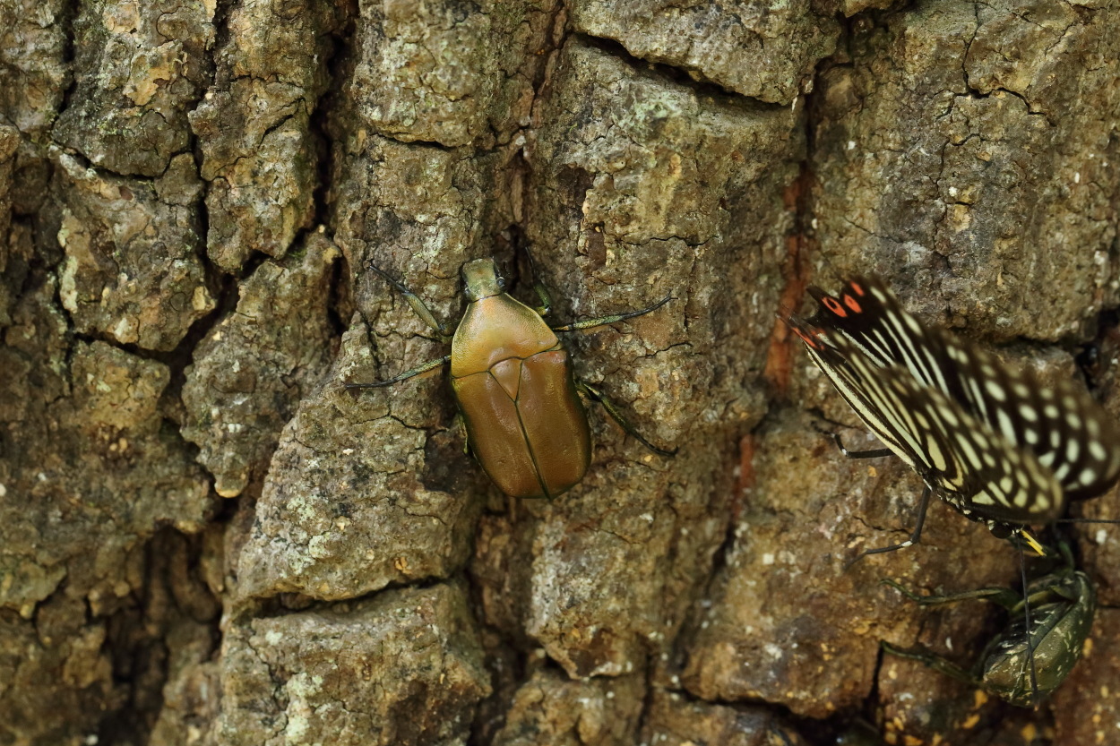 e0249878_23231123.jpg