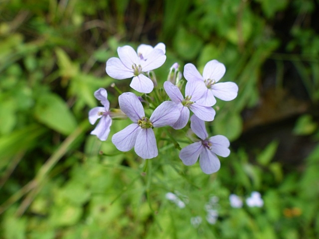 f0357487_22205176.jpg