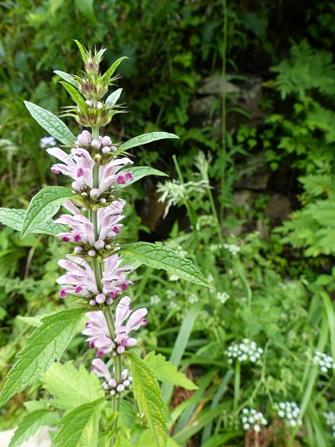 f0357487_22223285.jpg