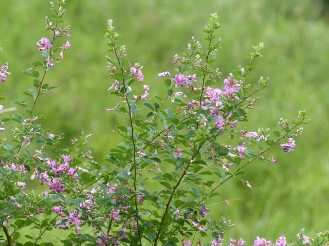 f0357487_2224471.jpg