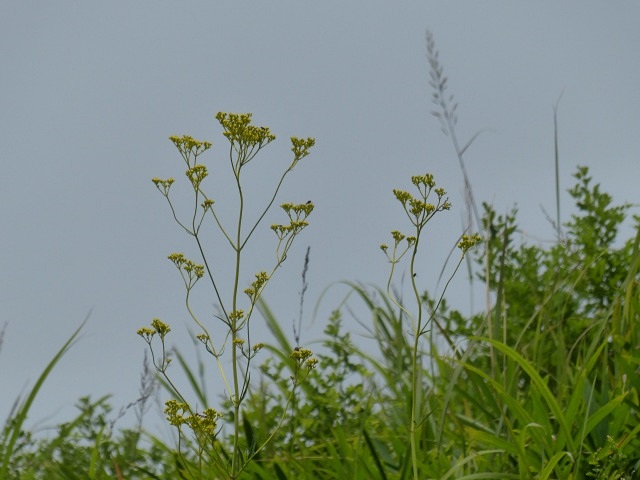 f0357487_2225155.jpg