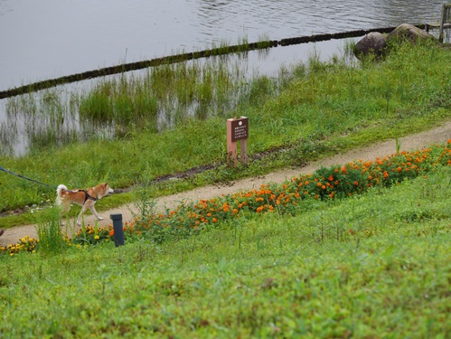 c0123890_207053.jpg