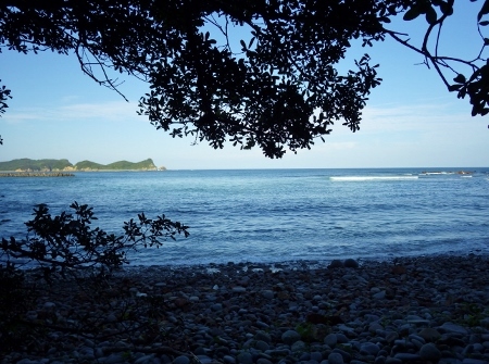 a0125598_20285268.jpg